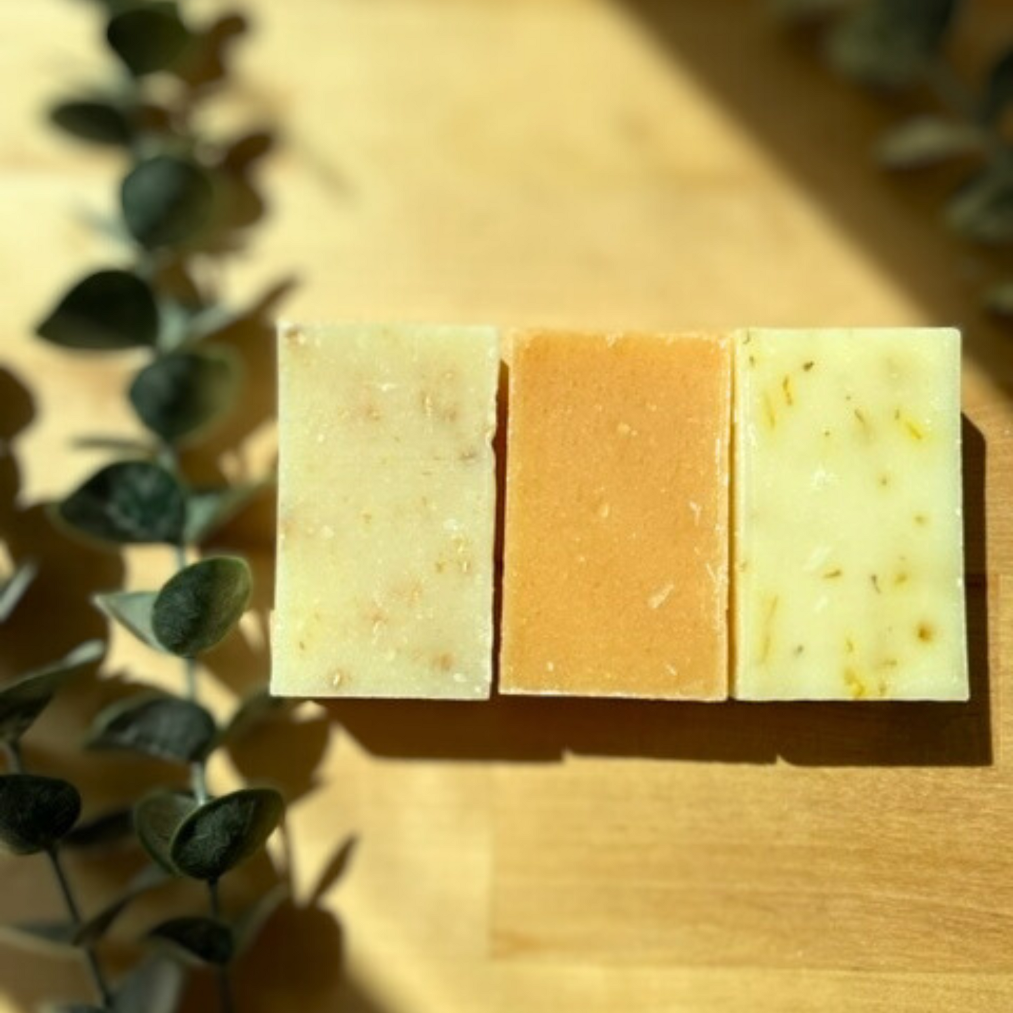 Organic Soap Bundle